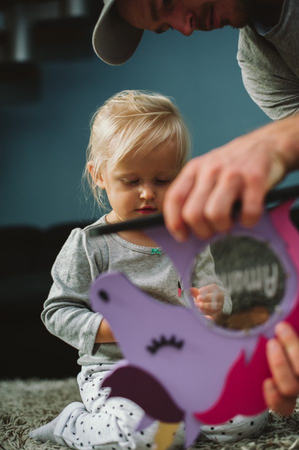 Krājkase Vienradzis