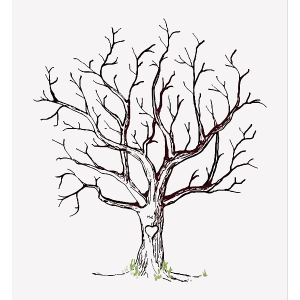 Kāzu dekors - Aktivitāšu koks viesiem - Image 2