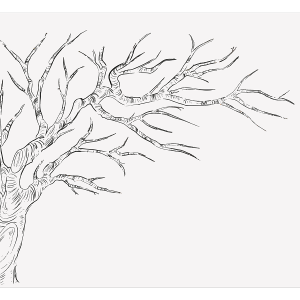 Kāzu dekors - Aktivitāšu koks viesiem - Image 4