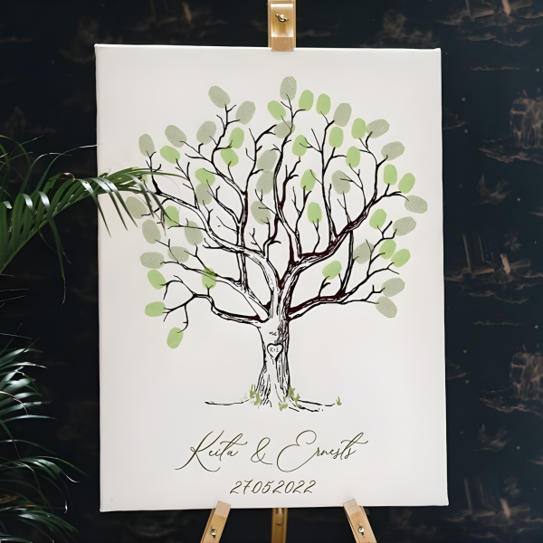 kazu-dekors-aktivitasu-koks